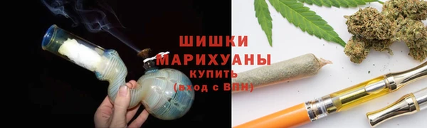 ГАЛЛЮЦИНОГЕННЫЕ ГРИБЫ Заволжск