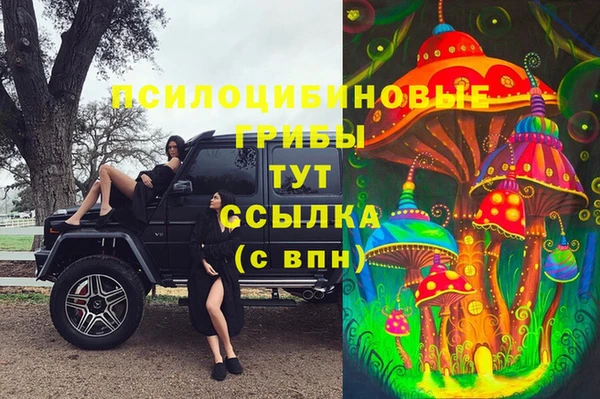 ГАЛЛЮЦИНОГЕННЫЕ ГРИБЫ Заволжск