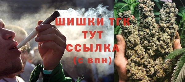 дмт Заводоуковск