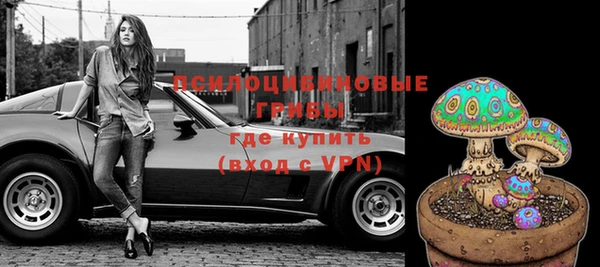ГАЛЛЮЦИНОГЕННЫЕ ГРИБЫ Заволжск