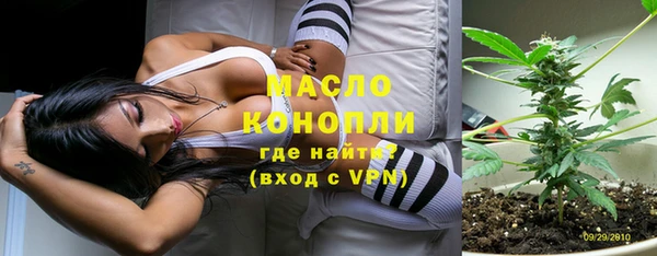 дмт Заводоуковск
