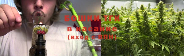 дмт Заводоуковск