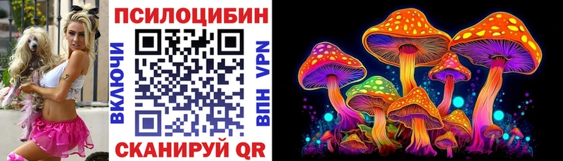 Псилоцибиновые грибы ЛСД  Купить  Вилючинск 
